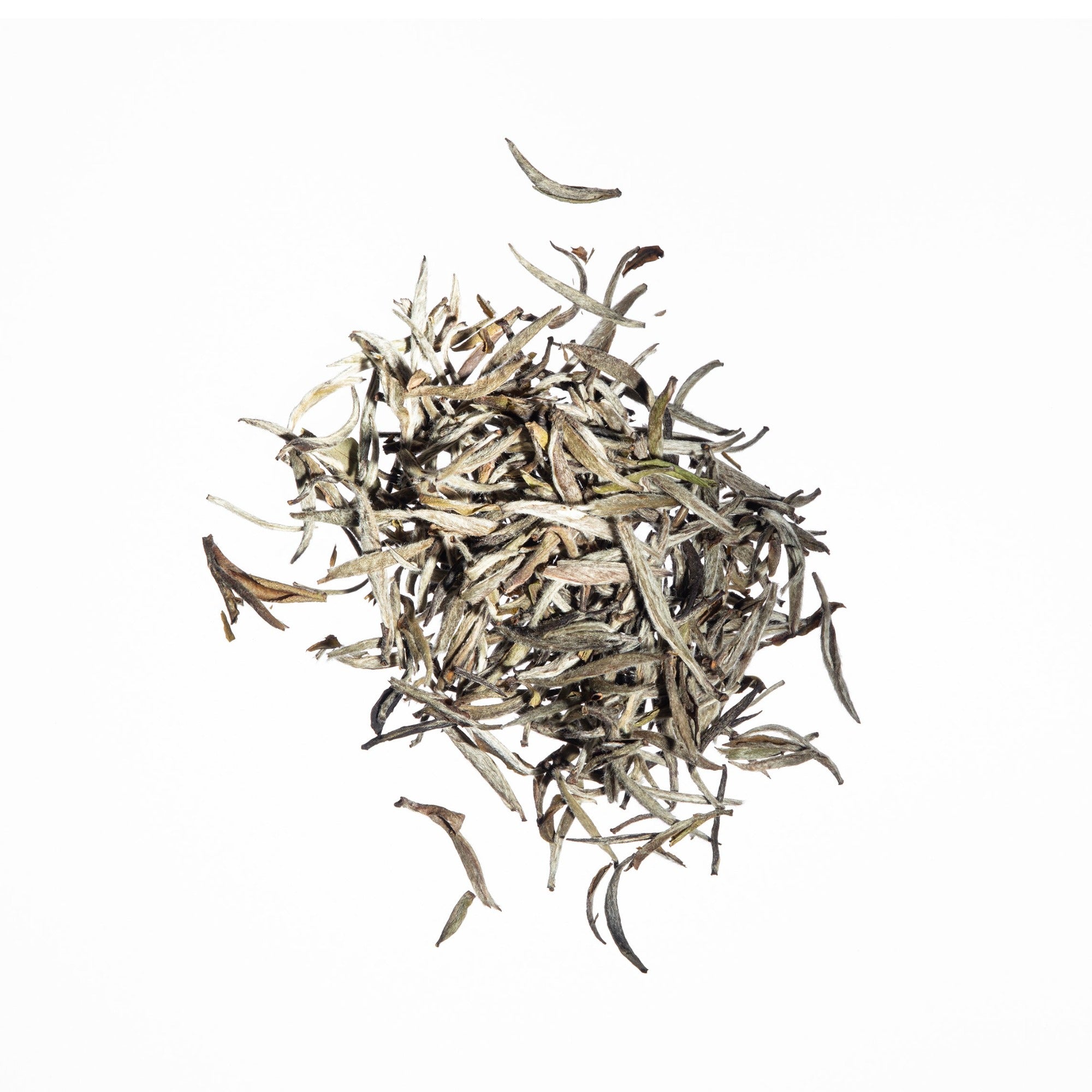 White Tea – JOJO